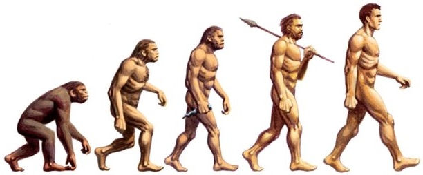 storia dell'homo sapiens